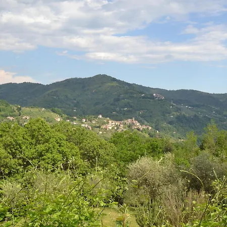 Beautiful In Pescia